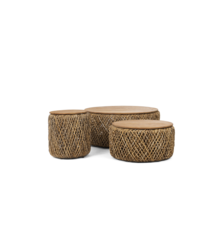 dBodhi  Collectables