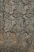 Ethnicraft Triptic side table - lava whisky