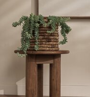 dBodhi Dino Ronde Salontafel 