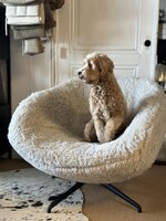Doodle draaifauteuil in stof shell 196