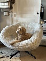 Doodle draaifauteuil in stof shell 196