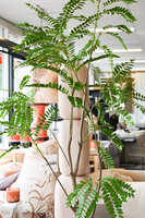 Kunstboom Mimosa 210cm hoogte