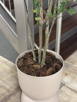 Kunstboom Enkianthus 150cm hoogte