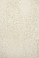 Ethnicraft Elements Vloerplank 220cm