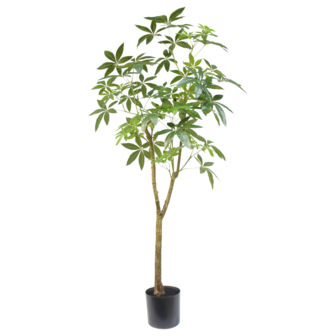 Schefflera kunstboom 180cm 