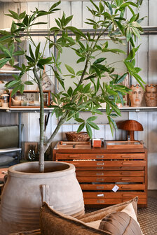Kunstboom Schefflera 180cm hoogte