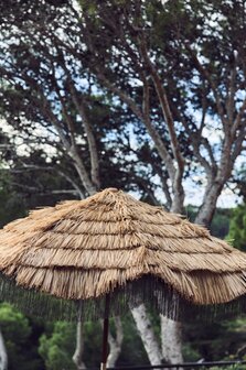 HKLIVING Serengeti umbrella