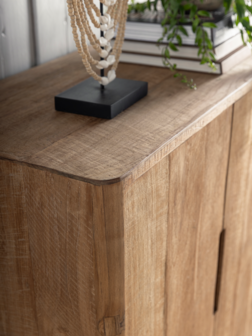 DTP Home Bliss Bergkast Laag 2 Deurs 