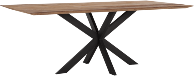 Timeless Dining Table Curves rectangular 