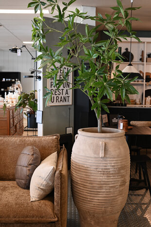Kunstboom Schefflera 180cm hoogte