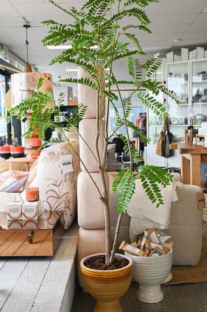 Kunstboom Mimosa 210cm hoogte