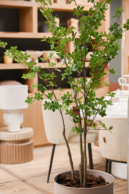 Kunstboom Enkianthus 150cm hoogte