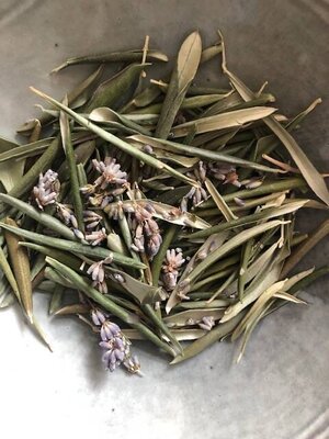Maglori olijfbladeren thee Lavendel